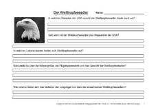 Weißkopfseeadler-Fragen-1.pdf